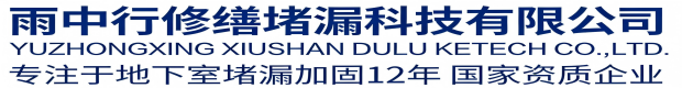 安徽雨中行修缮堵漏科技有限公司